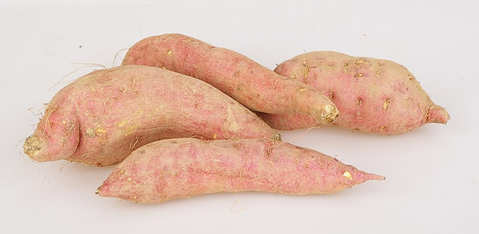 Sweet potato