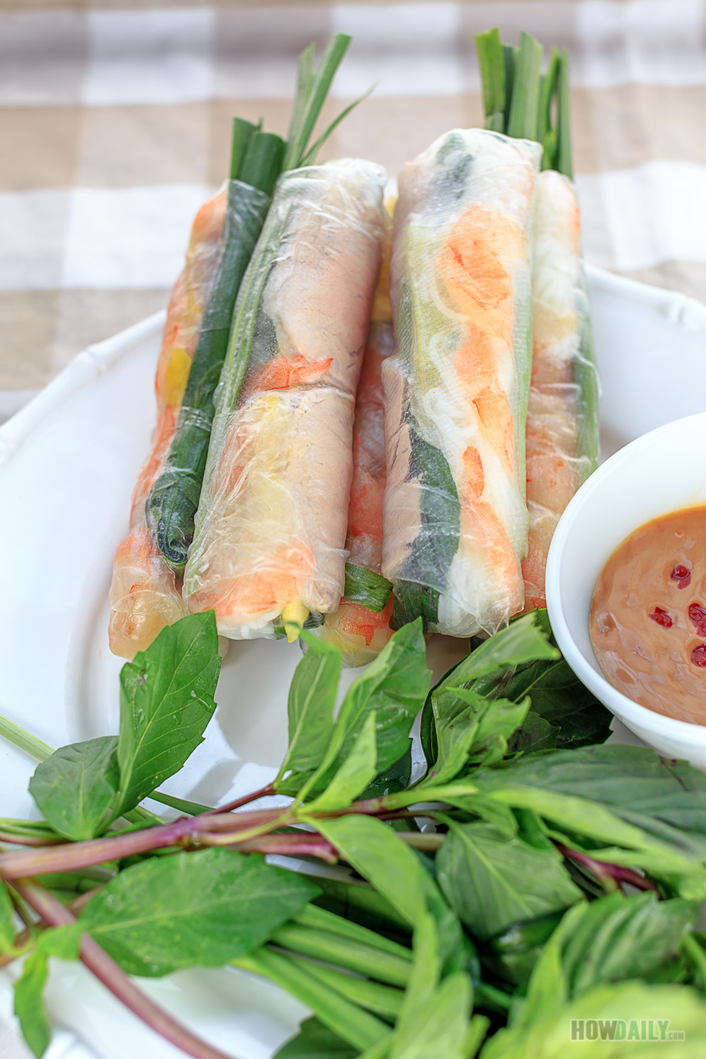 Rice Paper Spring Rolls With Dipping Sauce