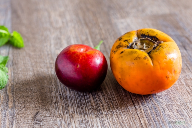 Persimmon and plum