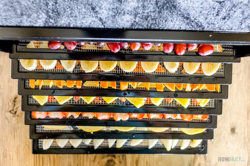 Large food dehydrator