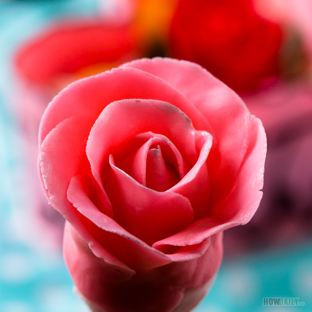Pink chocolate rose