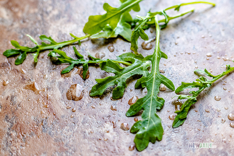 Arugula