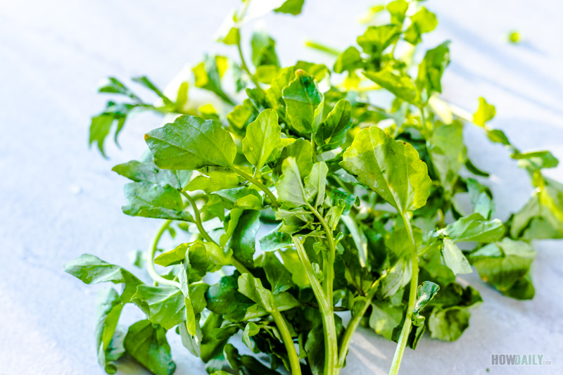 Watercress