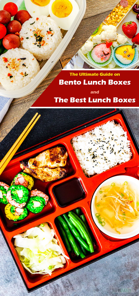 Modetro Slim-Line Bento Adult Lunch Box with Thermal Bag color