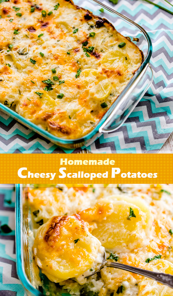 Easy and delicious cheesy scalloped potatoes