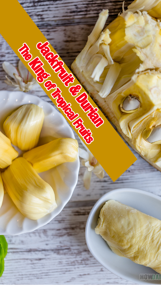 Jackfruit vs Durian: Ultimate Guide on The King of Tropical Fruits