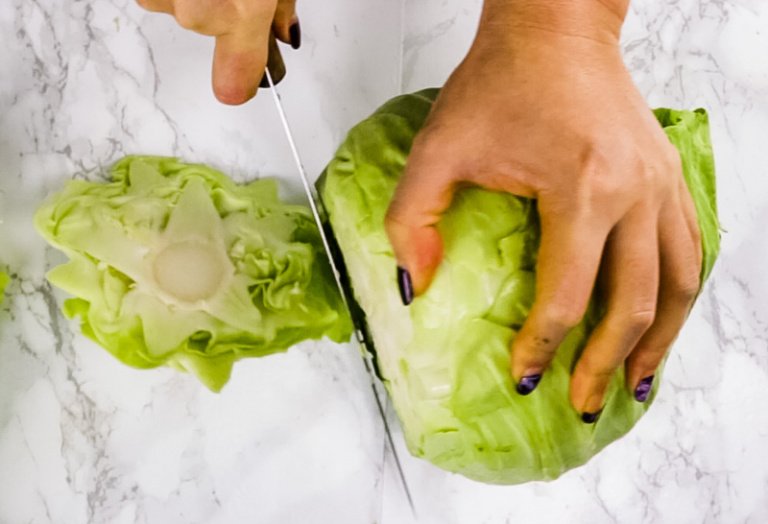 How To Regrow Cabbage From Stem