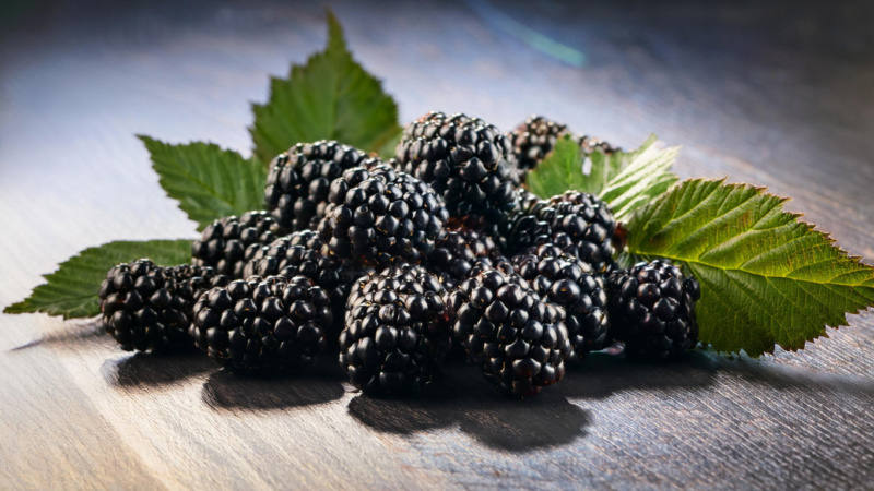 Blackberries